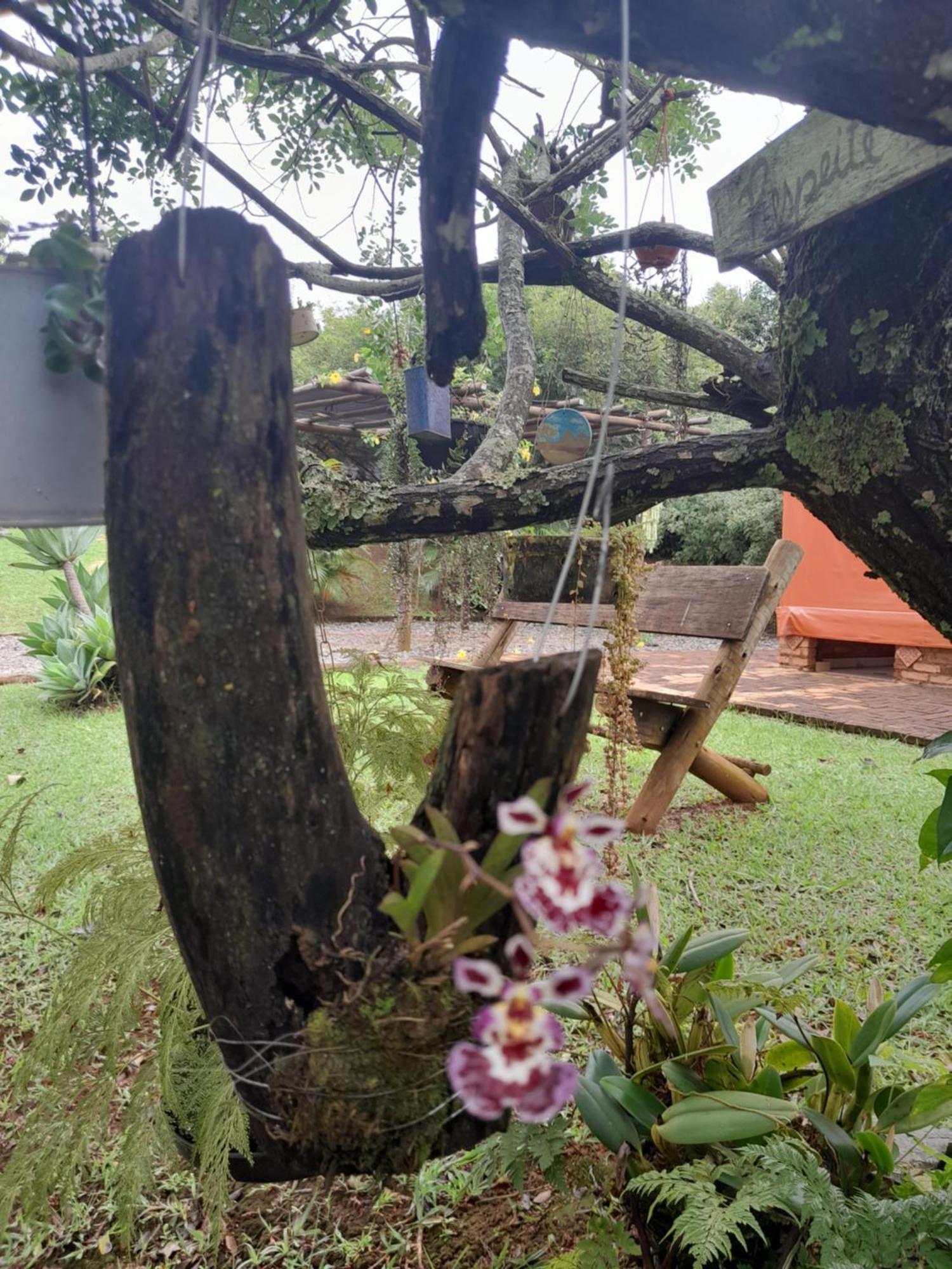Chales Recanto Das Seriemas São Roque de Minas Kültér fotó